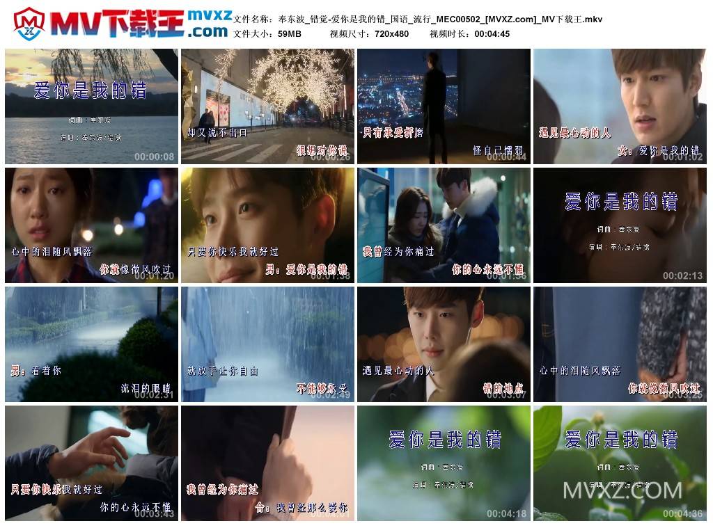 奉东波_错觉-爱你是我的错_国语_流行_MEC00502